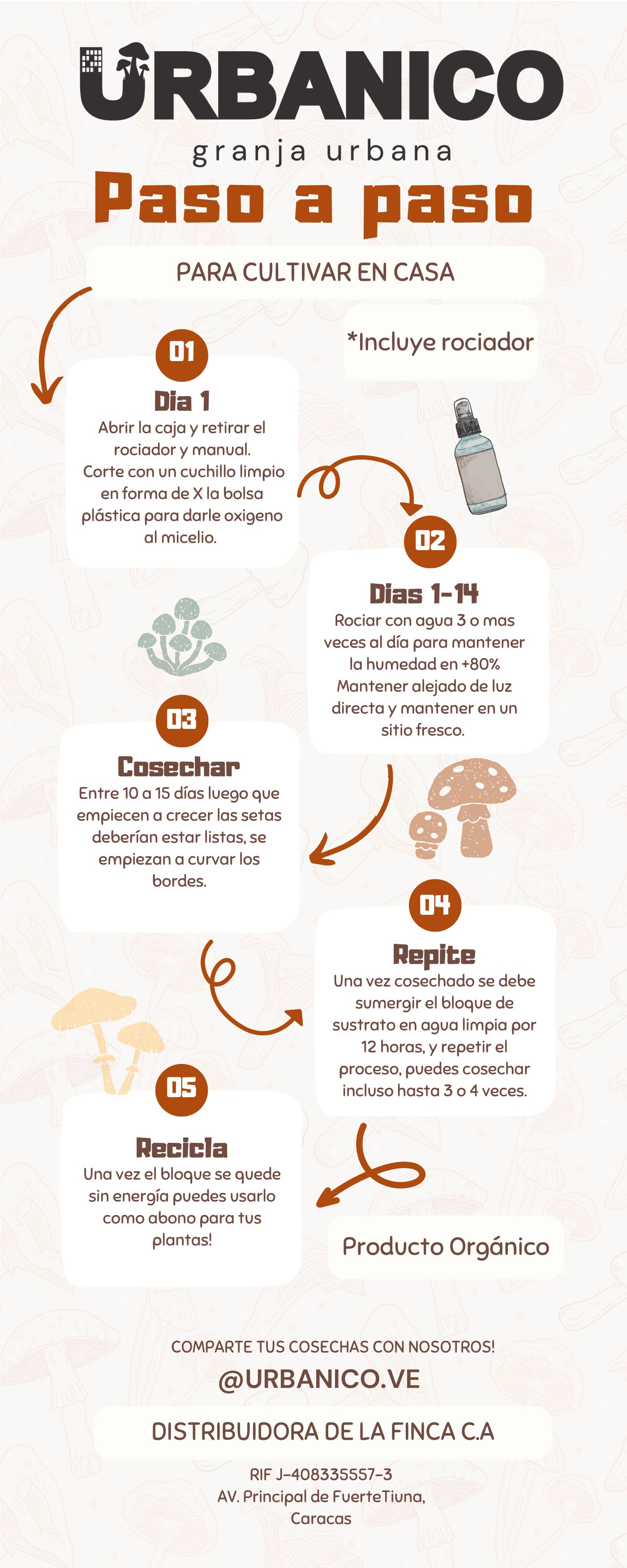 Guía ilustrada paso a paso para cultivar setas en casa