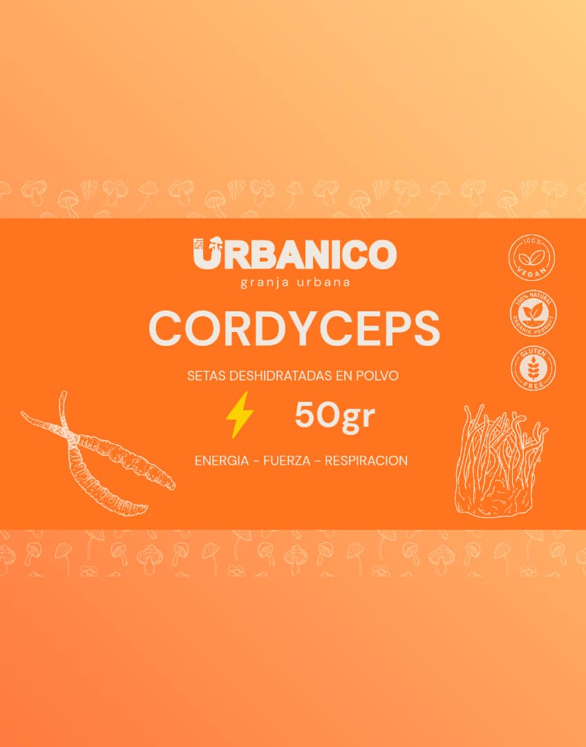 Cordyceps