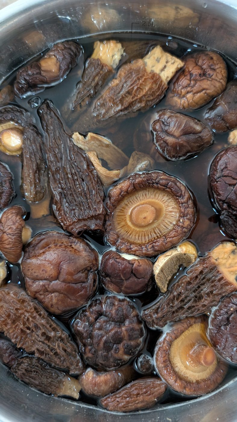 Shiitake Blanco